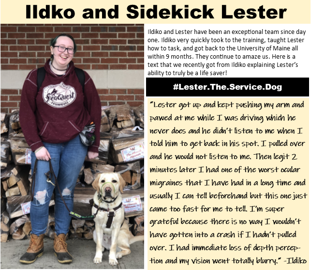 Testimonials Service dog Lester