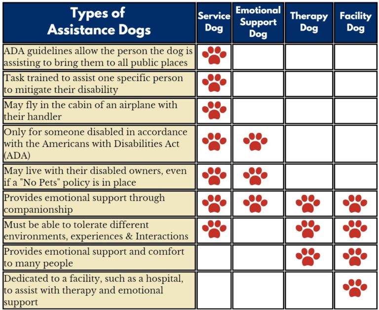 Chart that identifies different types of assistance dogs and their unique rights