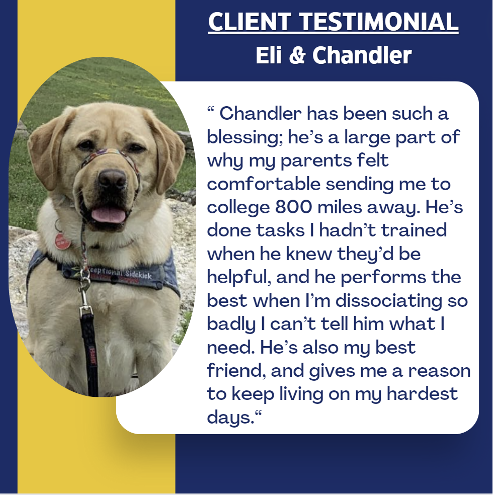 Client Testimonial from Eli and her service dog Chandler a yellow lab